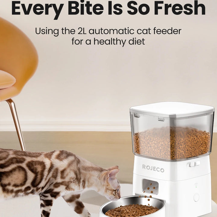 Dog Feeder Smart