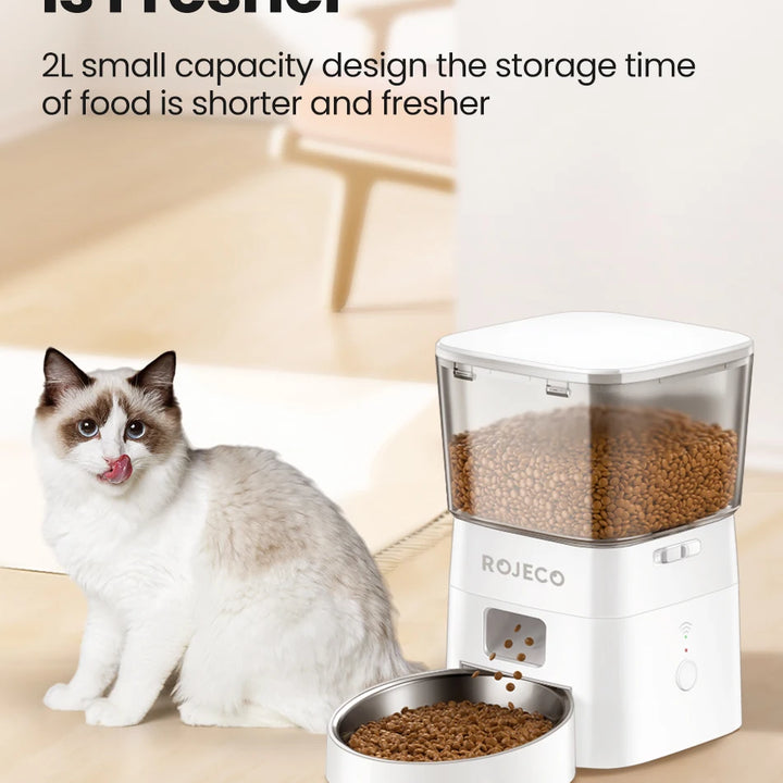 Dog Feeder Smart