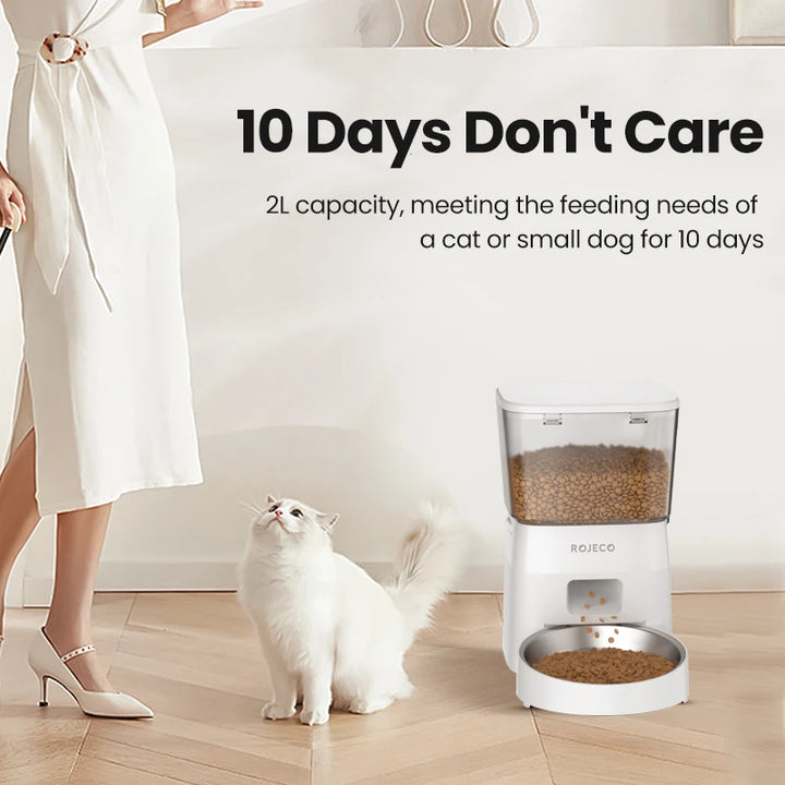 Dog Feeder Smart
